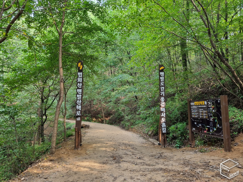 용인특례시가 이용객들을 위해 법화산에 맨발 치유형 산책로를 조성했다. 