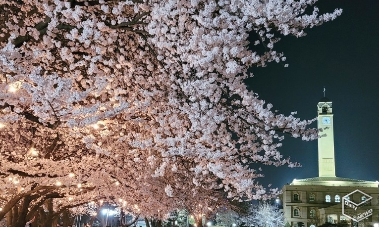 평택대 벚꽃축제는 하루 최대 1만여명의 방문객이 찾을 것으로 예상된다. 