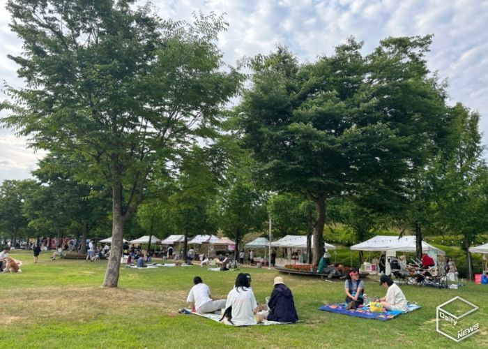 안성맞춤랜드, 『2024 댕댕이 시네마 피크닉』 성료