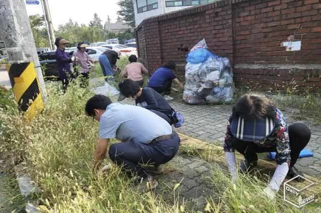 수원시 권선구 서둔동, '쾌적한 한가위' 위한 추석맞이 대청소 및 제초작업 실시