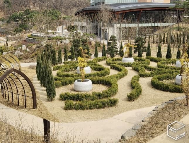 개나리가 핀 영흥수목원 토피어리 정원.