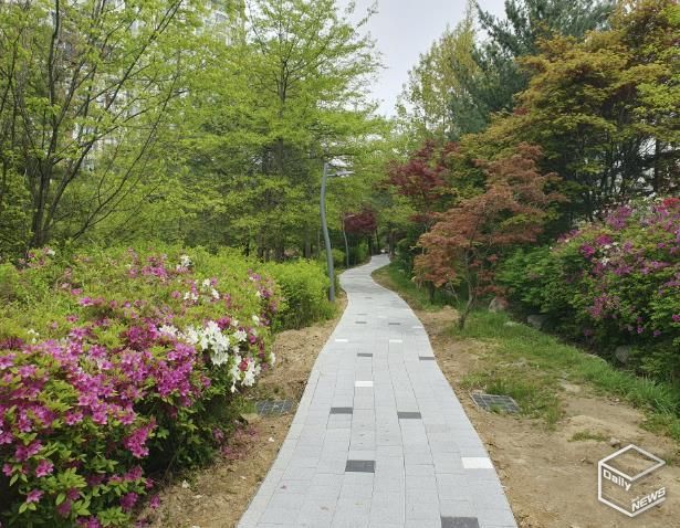 수지구 산책로 정비 모습