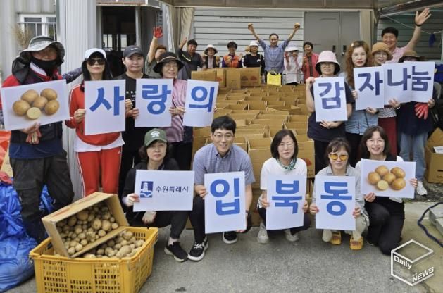 수원시 권선구 입북동 새마을지도자협의회, 사랑의 감자 수확