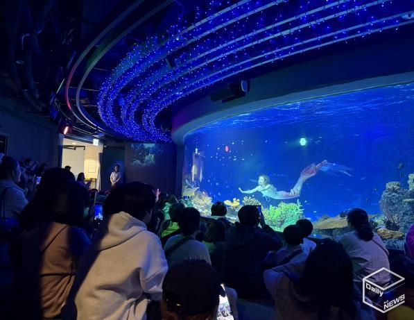 수원특례시 드림스타트 아동·가족이 아쿠아플라넷 관람을 하고 있다.