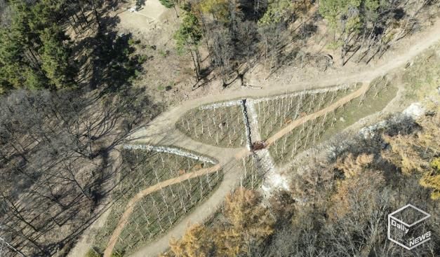 용인특례시가 수지구 죽전동에 조성한 '도시 숲' 모습