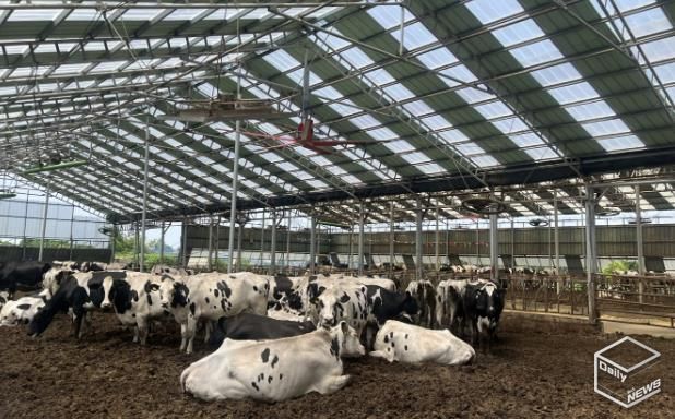 2025년 낙농육우산업 경쟁력 강화사업으로 대형환풍기 설비를 지원받은 축산농가 모습