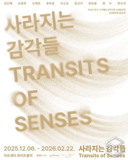 사라지는 감각들 포스터