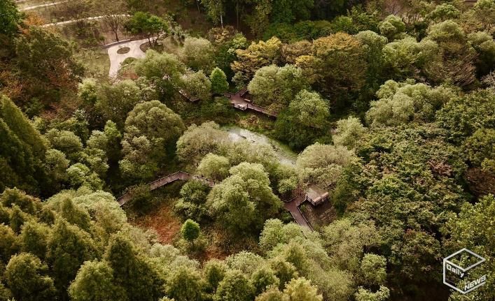 무장애 나눔길(물향기수목원)