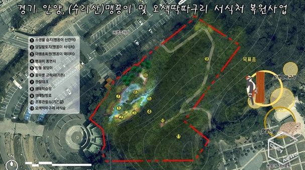 안양시, 병목안시민공원 맹꽁이・오색딱따구리 서식처 복원…국비 4.4억 확보