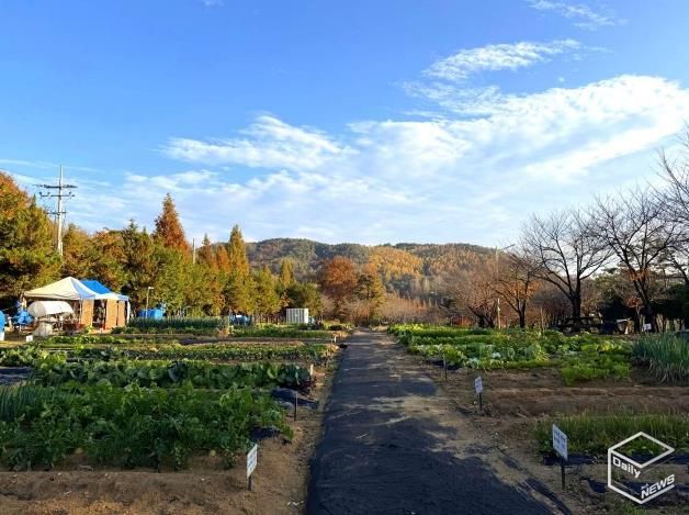 안성시, 2026년 도시농업공동체 공공텃밭 분양자 모집